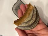 Anonyme review image