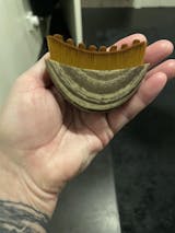 Anonyme review image
